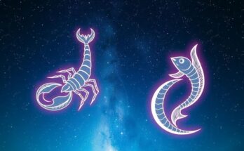 Astrological symbols representing Scorpio and Pisces surrounded by a starry night sky and glowing moon.