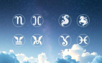 Astrology themed illustration with zodiac signs, stars, and celestial elements in calming pastel colours.