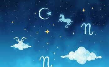 Celestial scene depicting the zodiac signs with a colourful night sky and twinkling stars